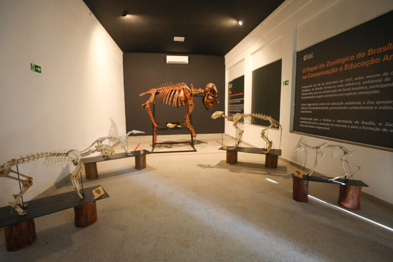 Museu de Ciências Naturais do Zoológico de Brasília é reaberto após reforma