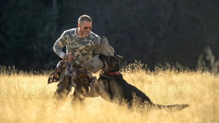 Brad Pitt precisou se tornar um adestrador de cães para estrelar Coração Selvagem